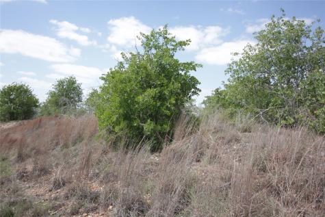 Tbd River Forest Drive Bastrop TX 78602