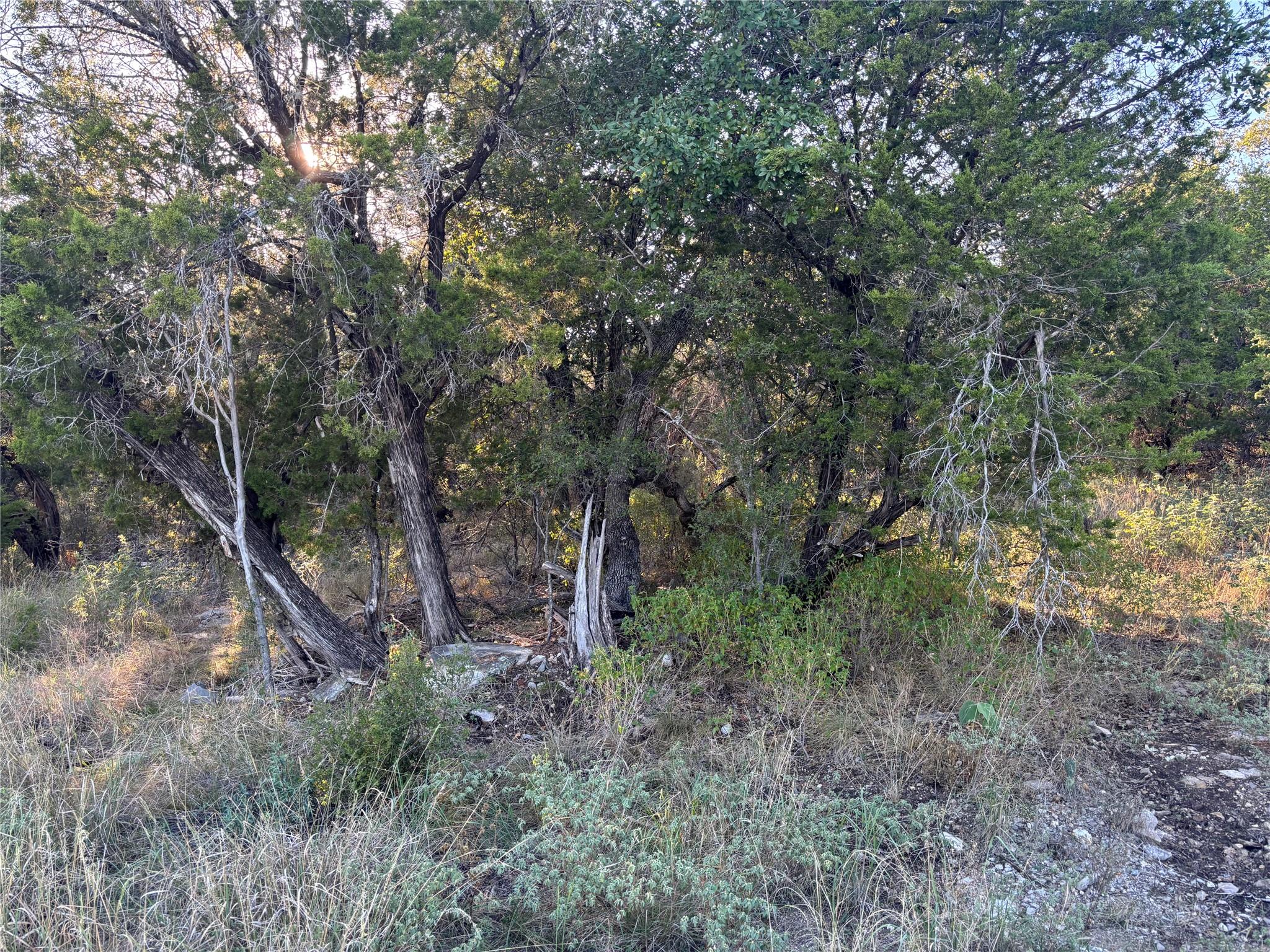 Lot K4106 Coon Court Horseshoe Bay TX 78657
