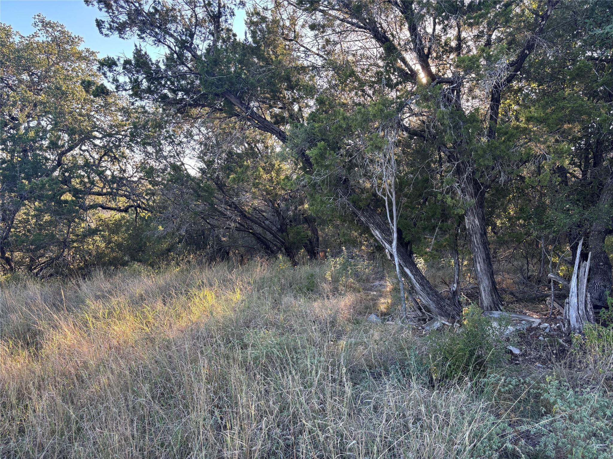Lot K4106 Coon Court Horseshoe Bay TX 78657