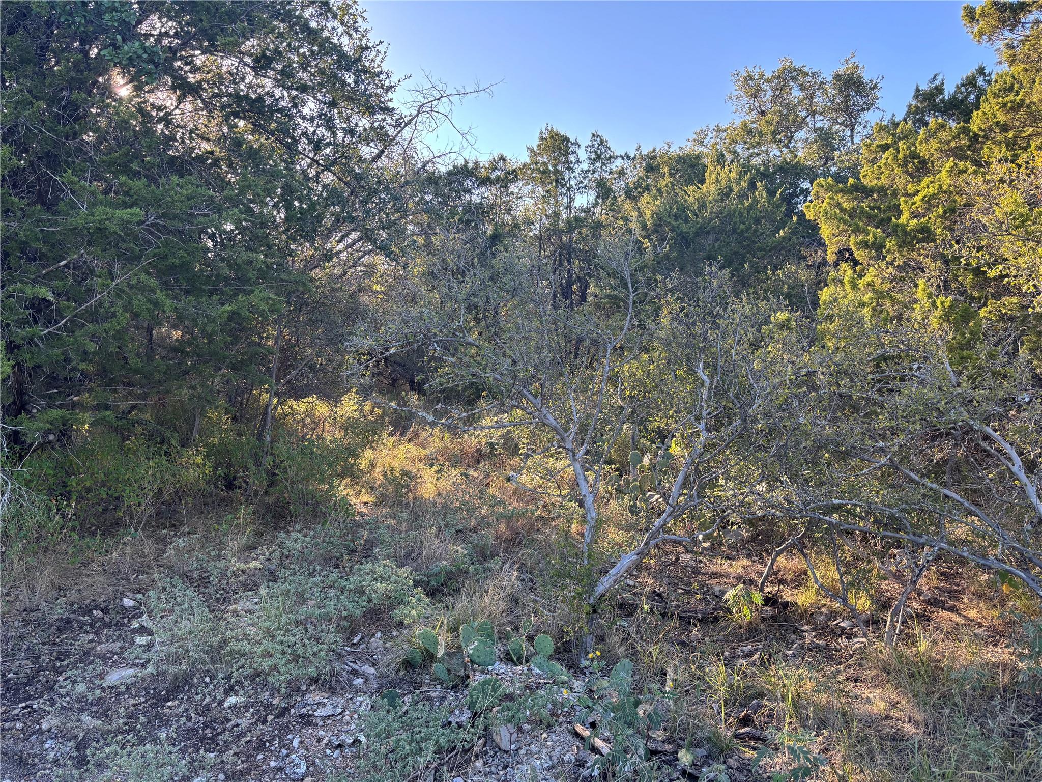 Lot K4106 Coon Court Horseshoe Bay TX 78657