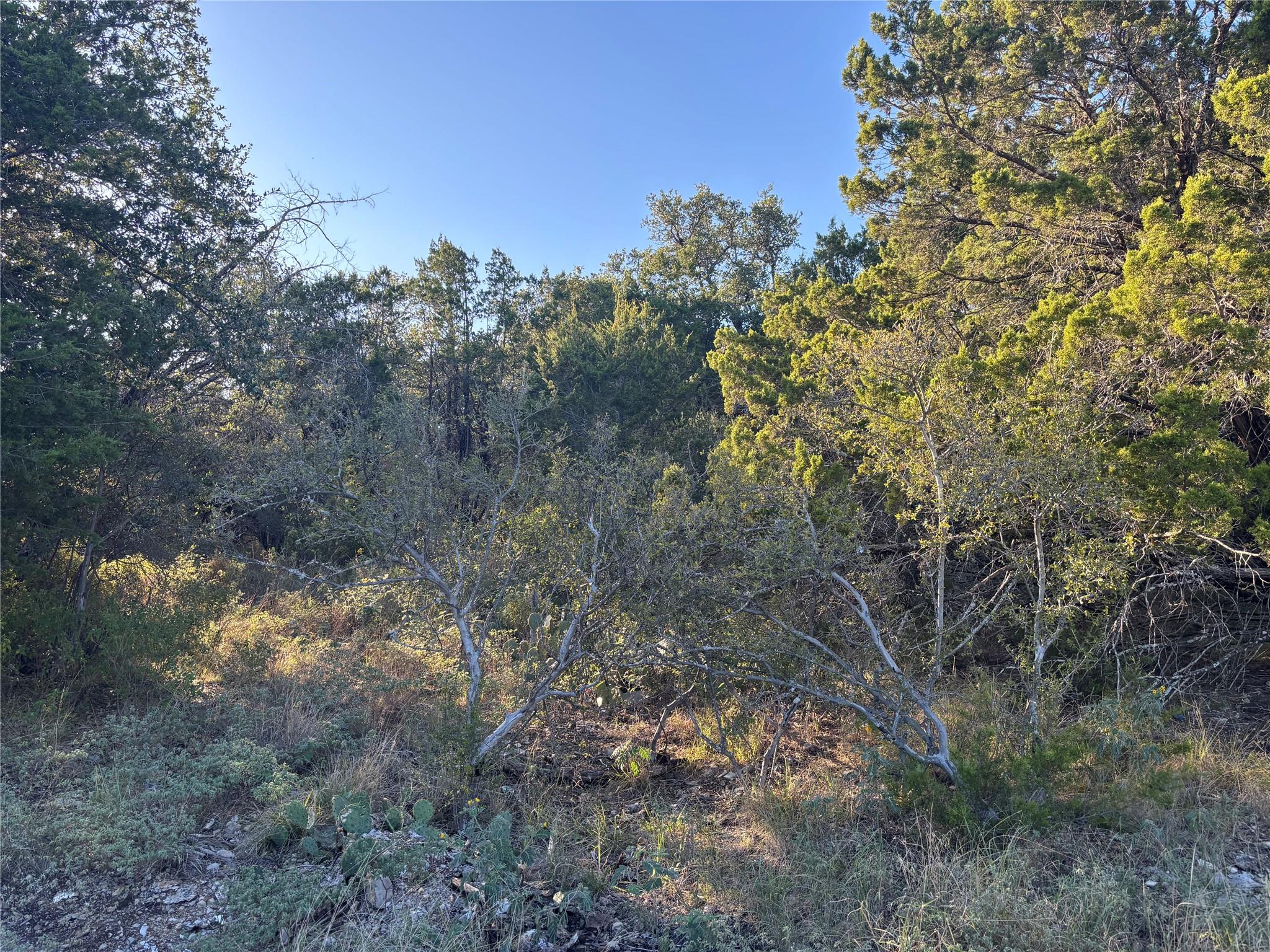 Lot K4106 Coon Court Horseshoe Bay TX 78657