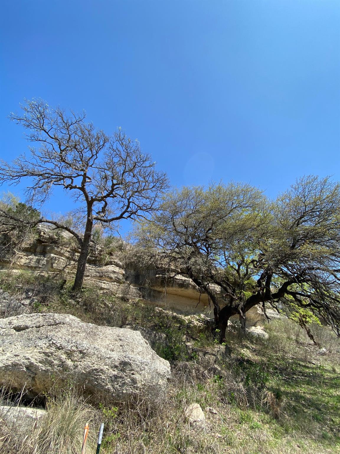 7301 Creek Road Dripping Springs TX 78620