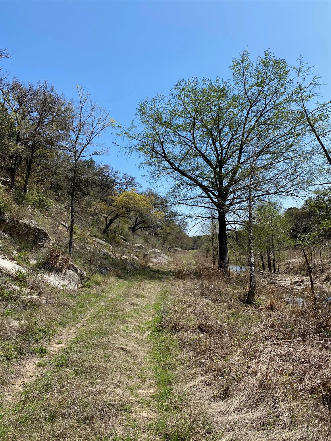 7301 Creek Road Dripping Springs TX 78620