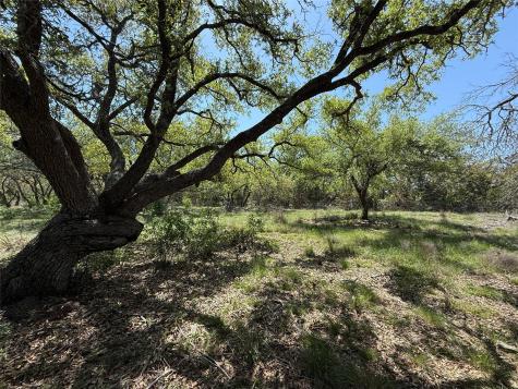 Lot 106 E Flying Owl Drive Johnson City TX 78636
