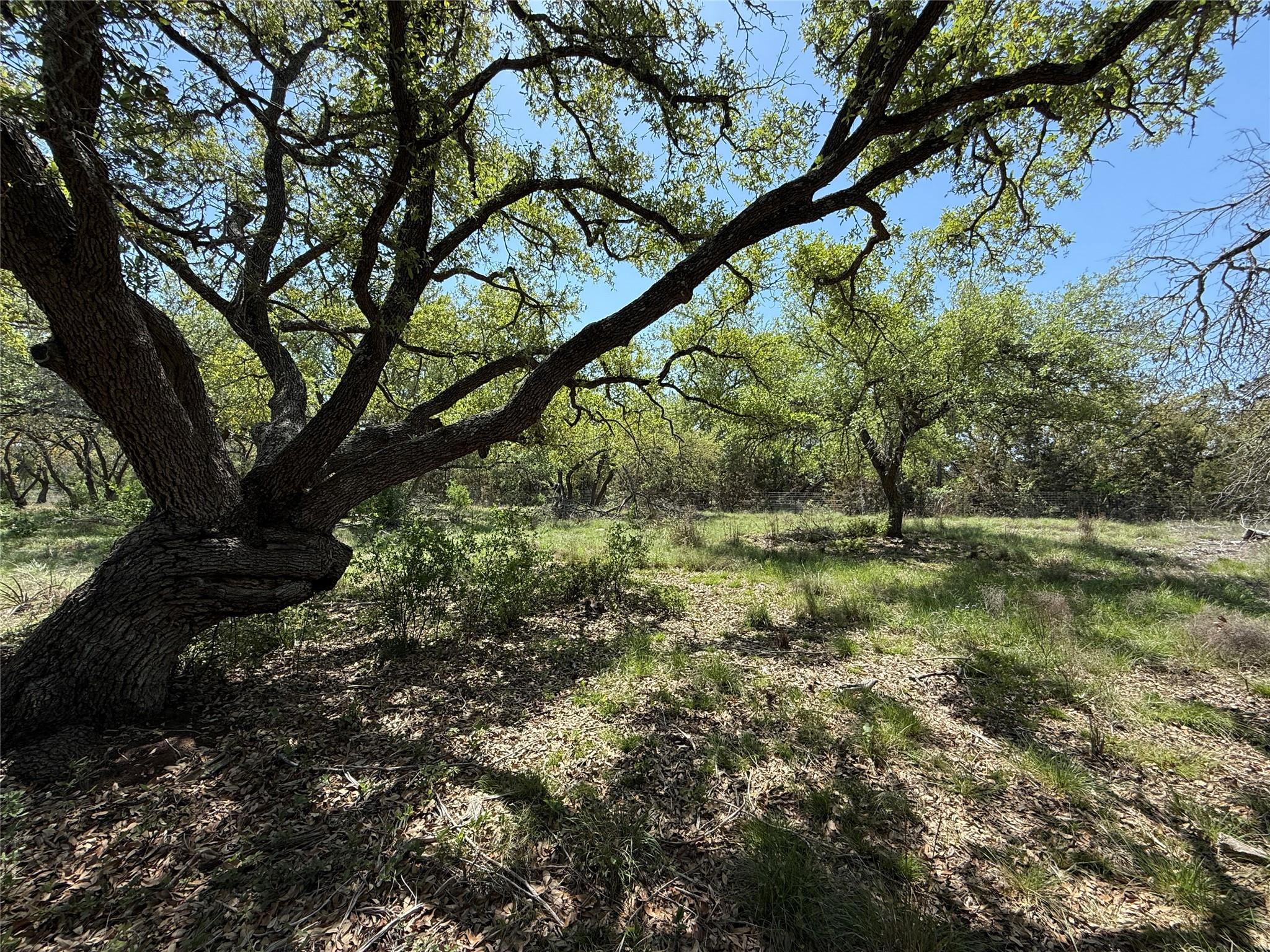 Lot 106 E Flying Owl Drive Johnson City TX 78636