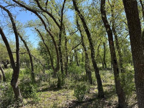 Lot 106 E Flying Owl Drive Johnson City TX 78636
