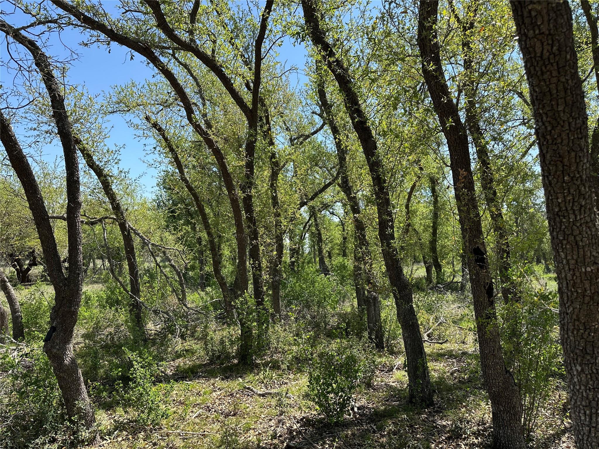 Lot 106 E Flying Owl Drive Johnson City TX 78636