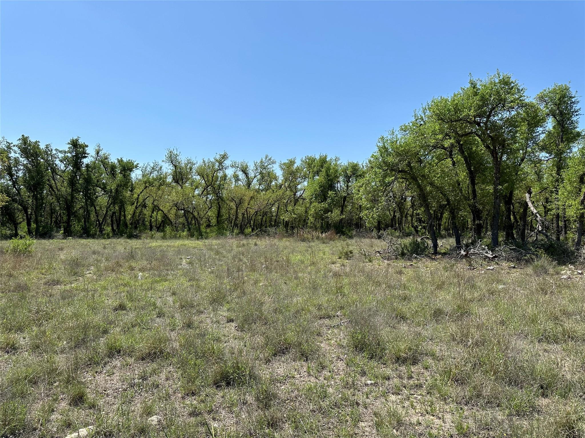 Lot 106 E Flying Owl Drive Johnson City TX 78636