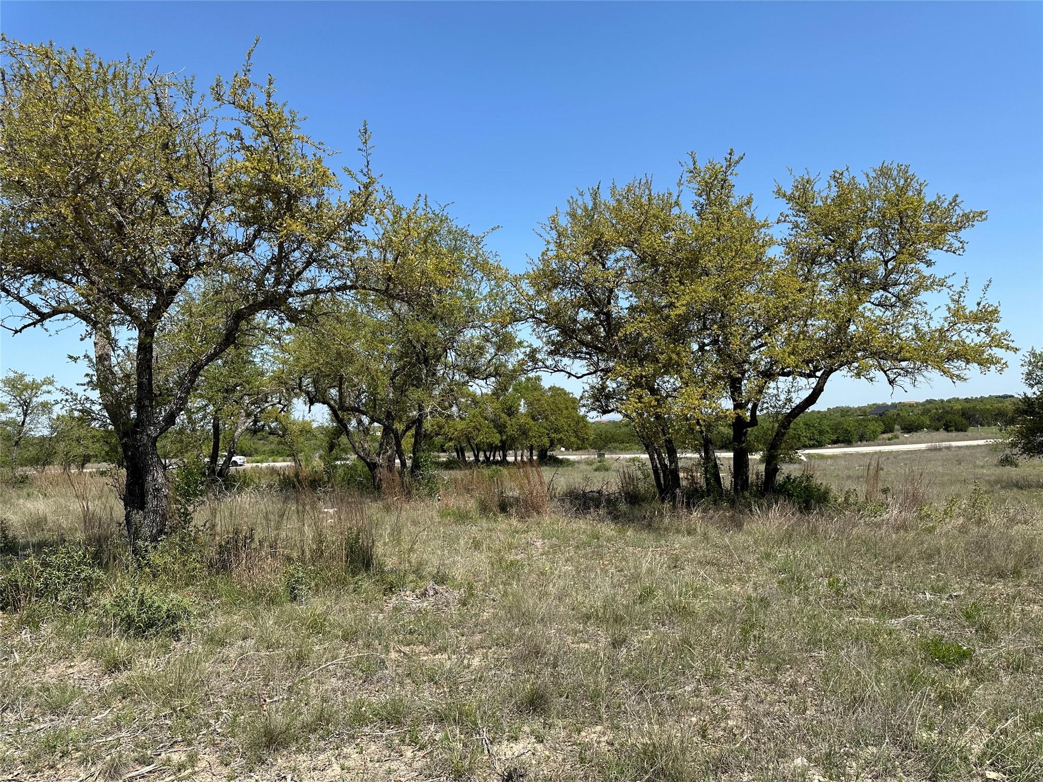 Lot 106 E Flying Owl Drive Johnson City TX 78636