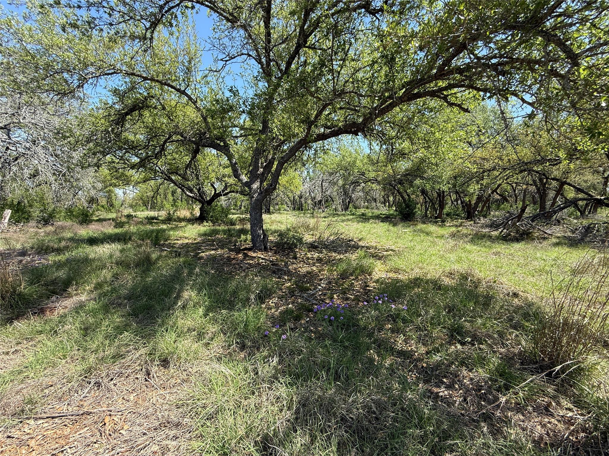 Lot 106 E Flying Owl Drive Johnson City TX 78636