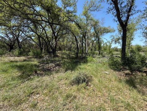 Lot 106 E Flying Owl Drive Johnson City TX 78636
