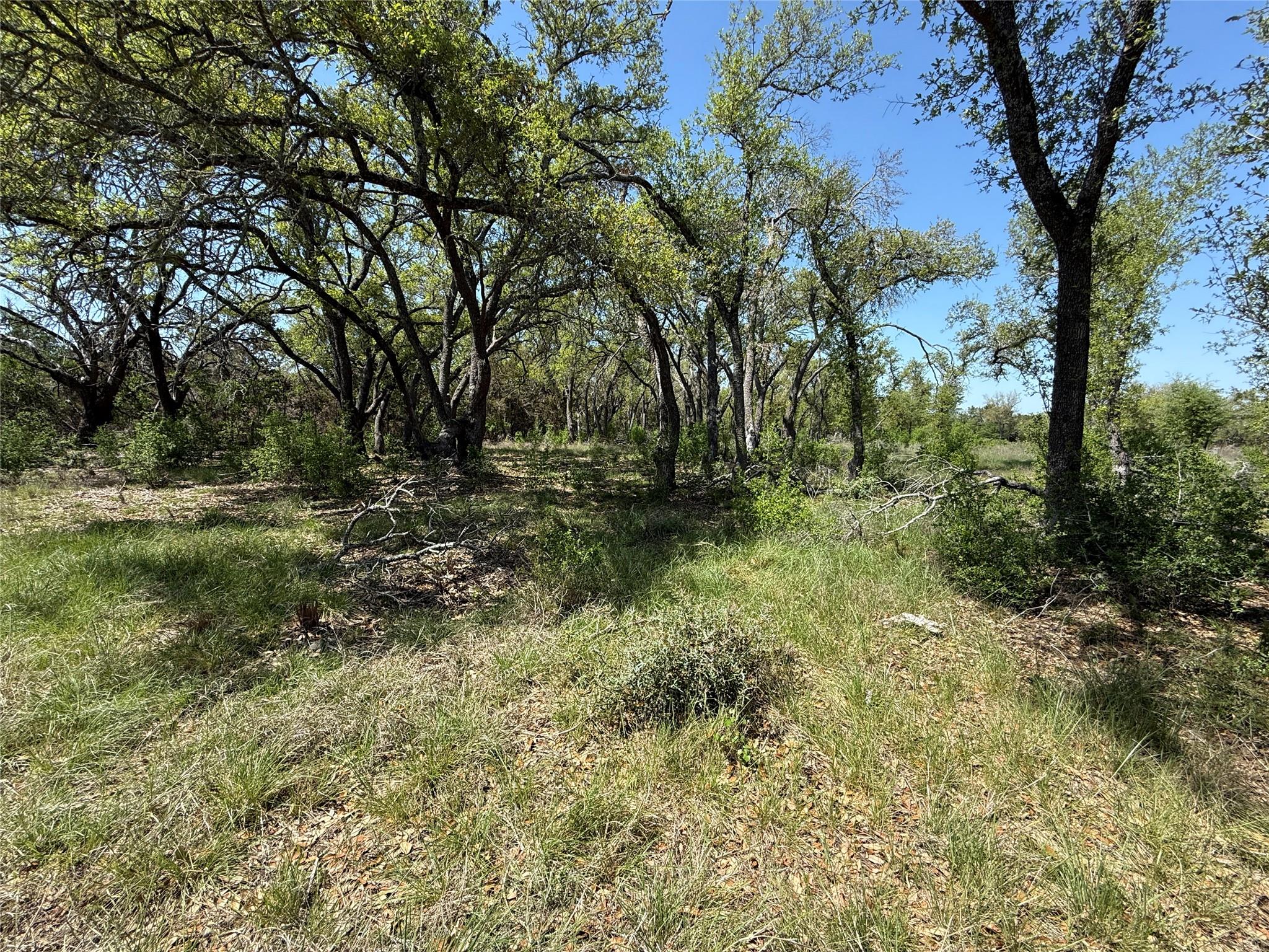 Lot 106 E Flying Owl Drive Johnson City TX 78636