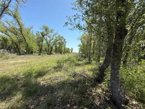 Lot 106 E Flying Owl Drive Johnson City TX 78636
