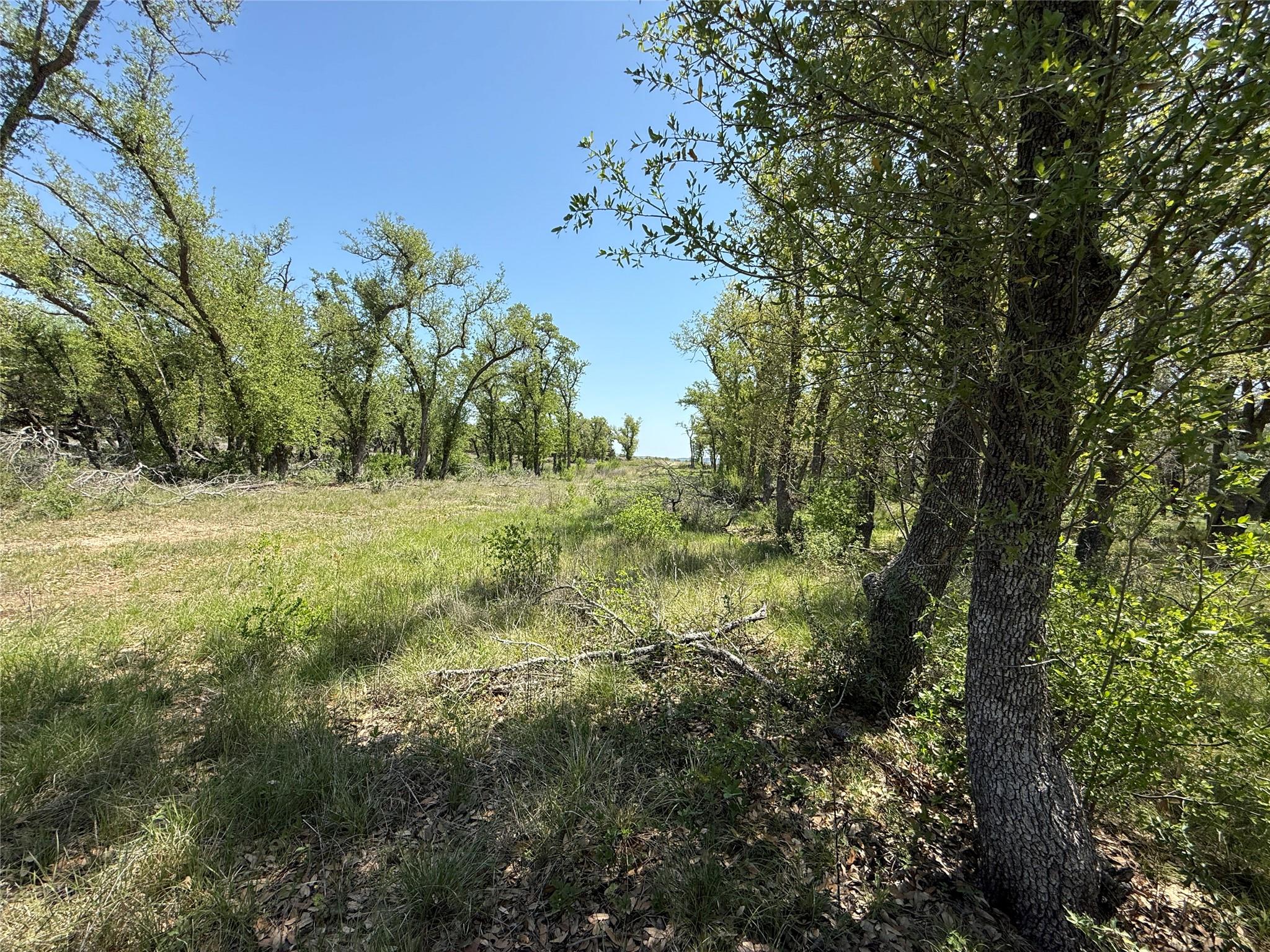 Lot 106 E Flying Owl Drive Johnson City TX 78636