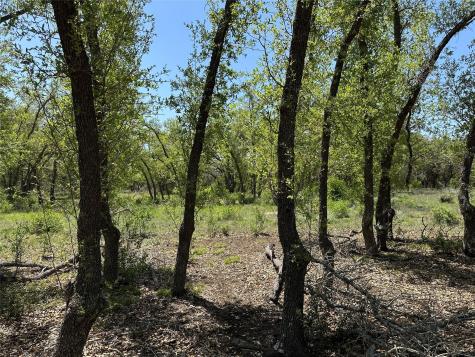 Lot 106 E Flying Owl Drive Johnson City TX 78636