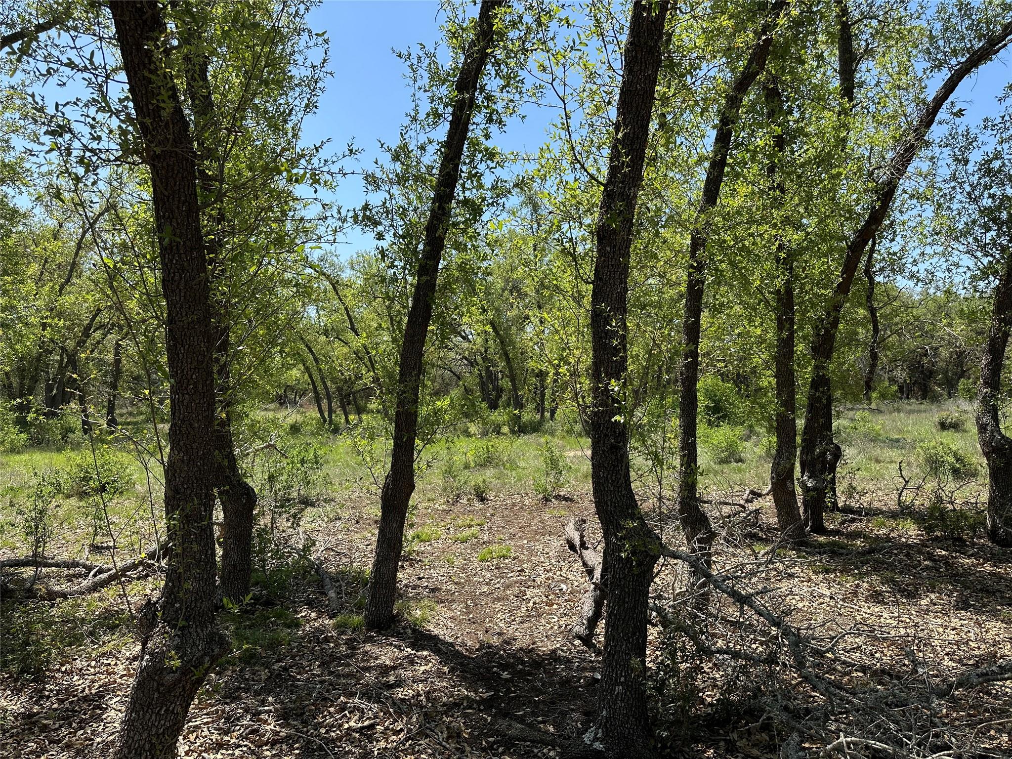 Lot 106 E Flying Owl Drive Johnson City TX 78636