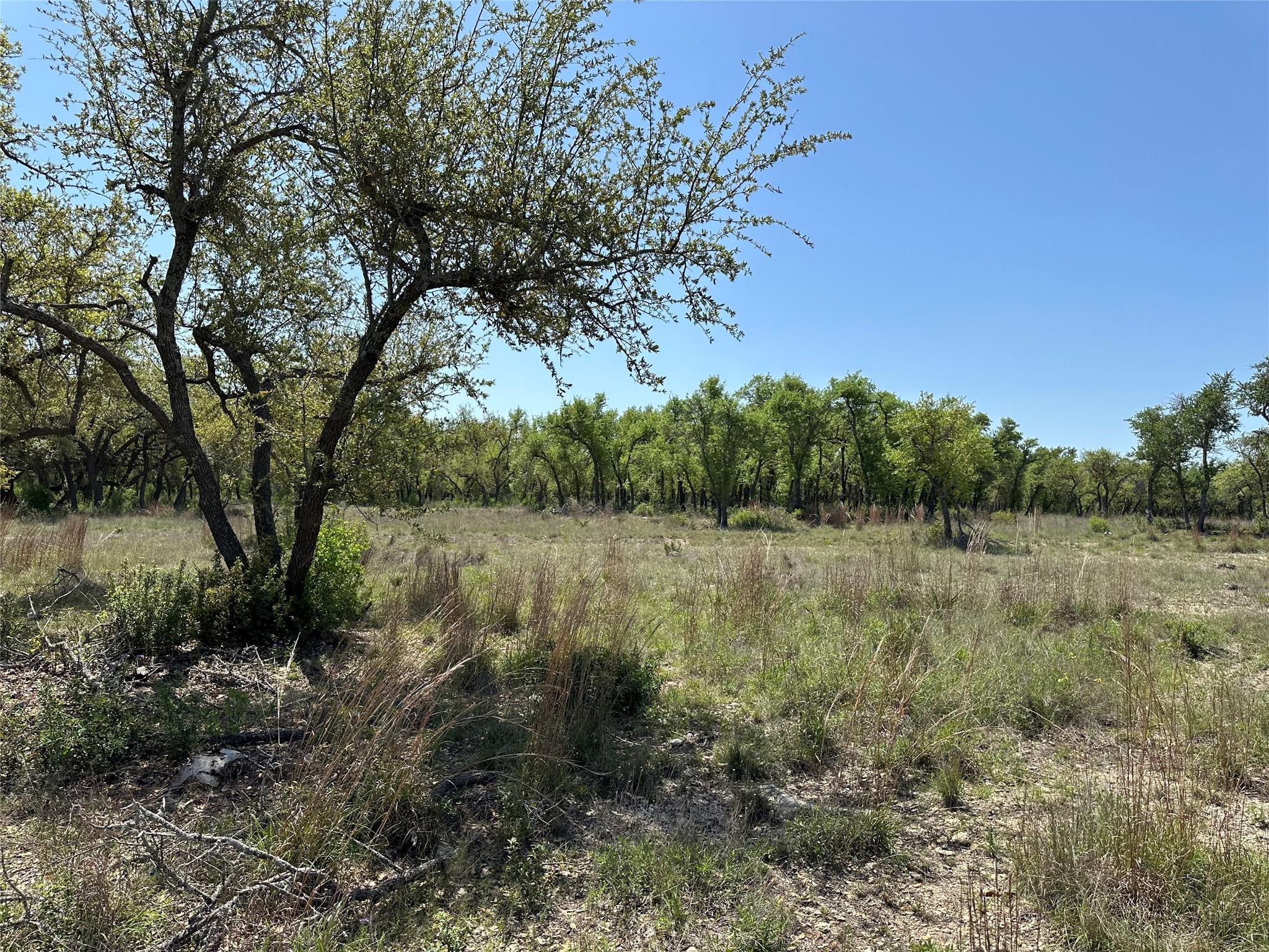Lot 106 E Flying Owl Drive Johnson City TX 78636