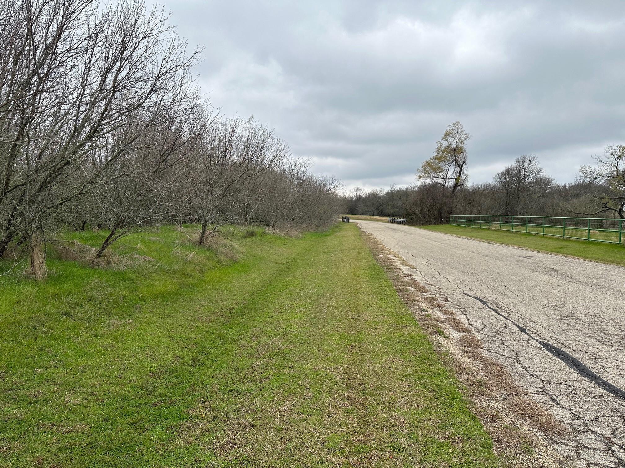 129 Palo Duro Drive Cedar Creek TX 78612