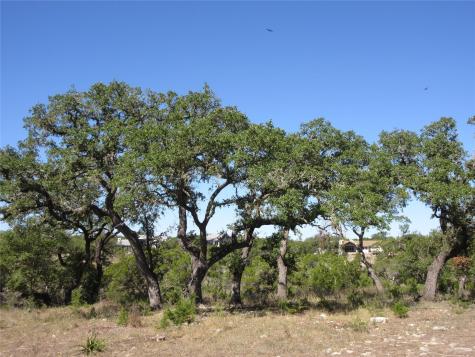 Lot 36 Mustang Valley Trail Wimberley TX 78676