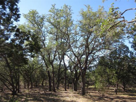 Lot 36 Mustang Valley Trail Wimberley TX 78676