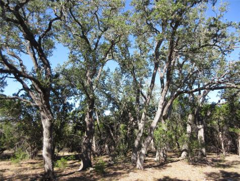 Lot 36 Mustang Valley Trail Wimberley TX 78676