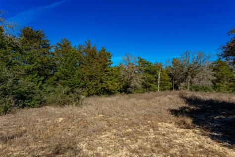 10162 County Road 321 Caldwell TX 77836