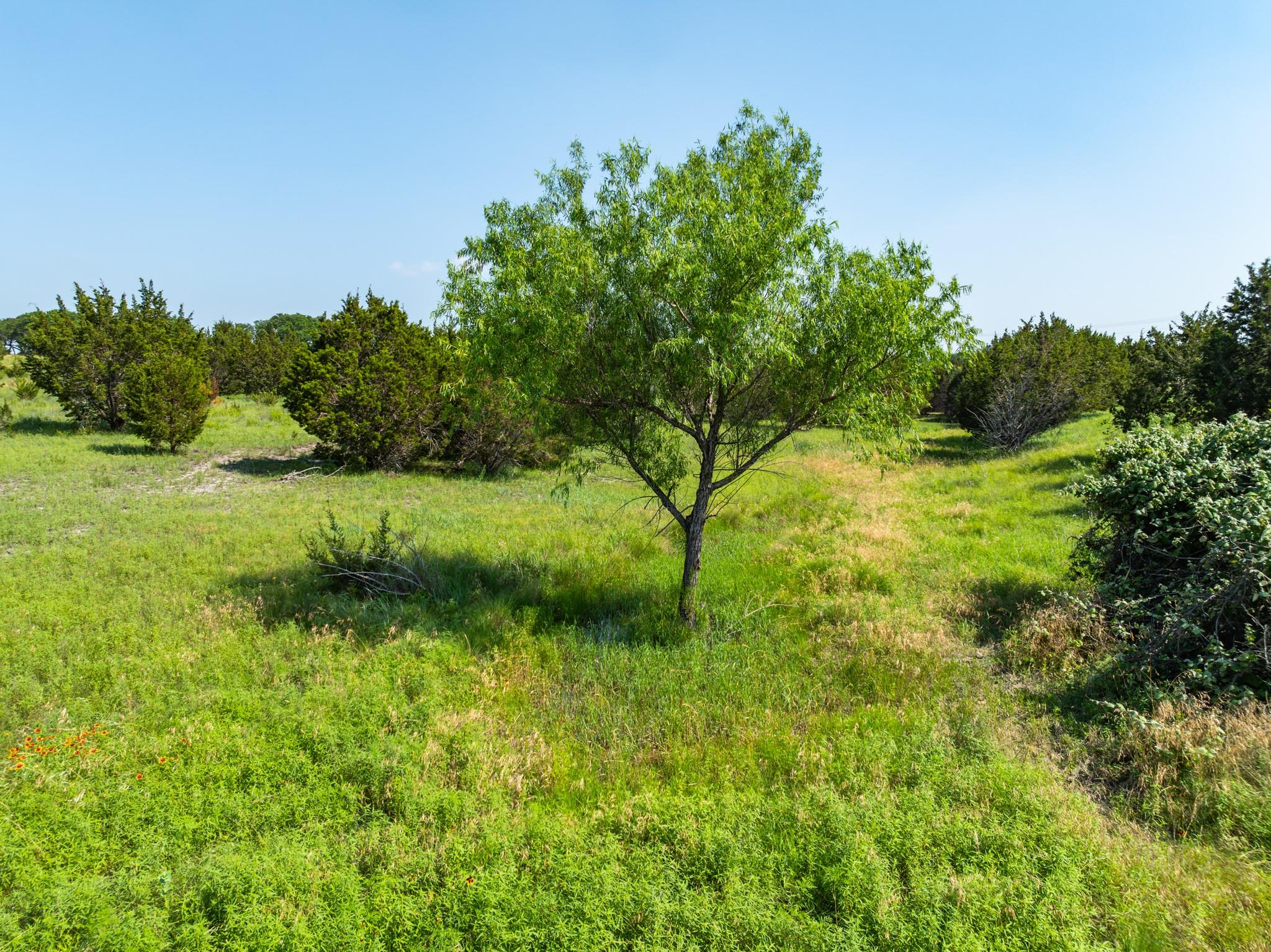Lot 122 Shin Oak Drive Lampasas TX 76550
