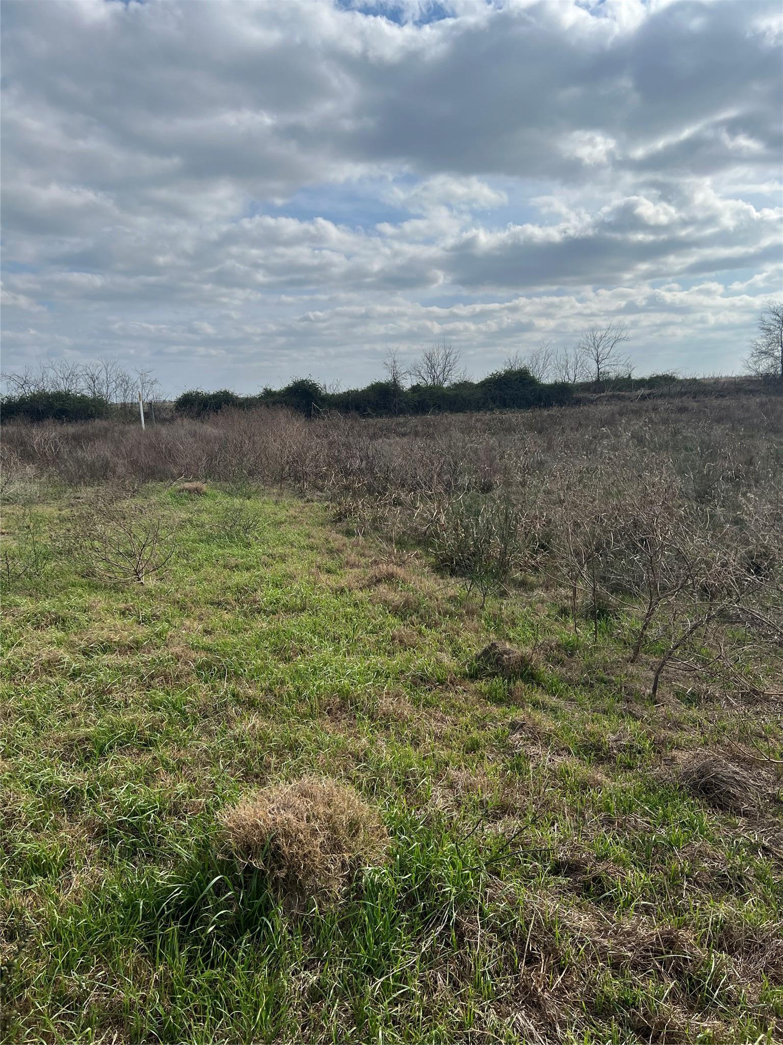 Tbd Lot 1 Beal Road Eagle Lake TX 77434