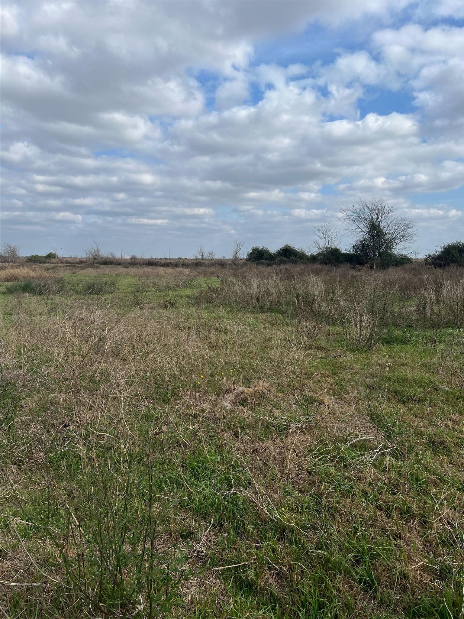 Tbd Lot 1 Beal Road Eagle Lake TX 77434