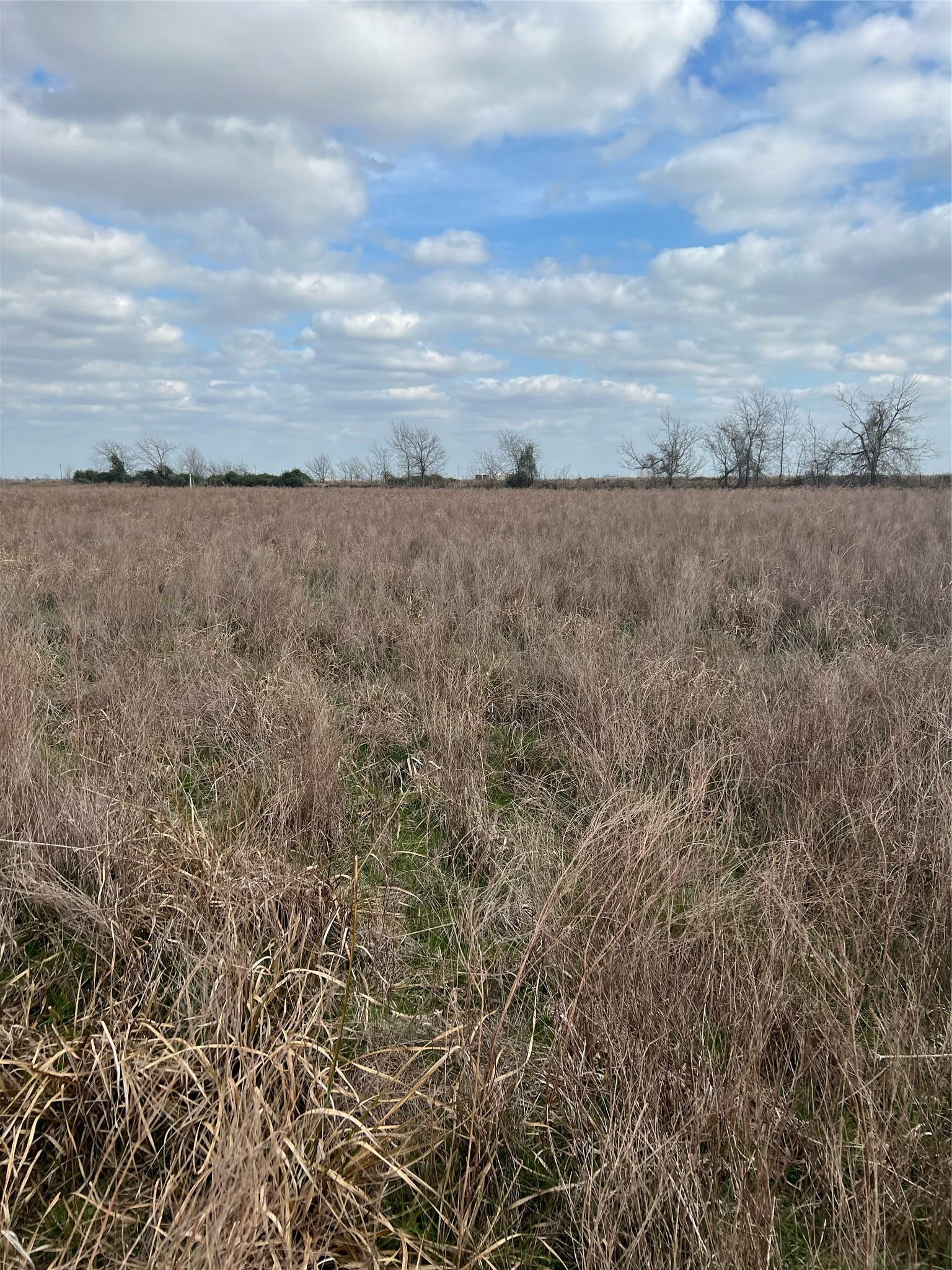 Tbd Lot 1 Beal Road Eagle Lake TX 77434