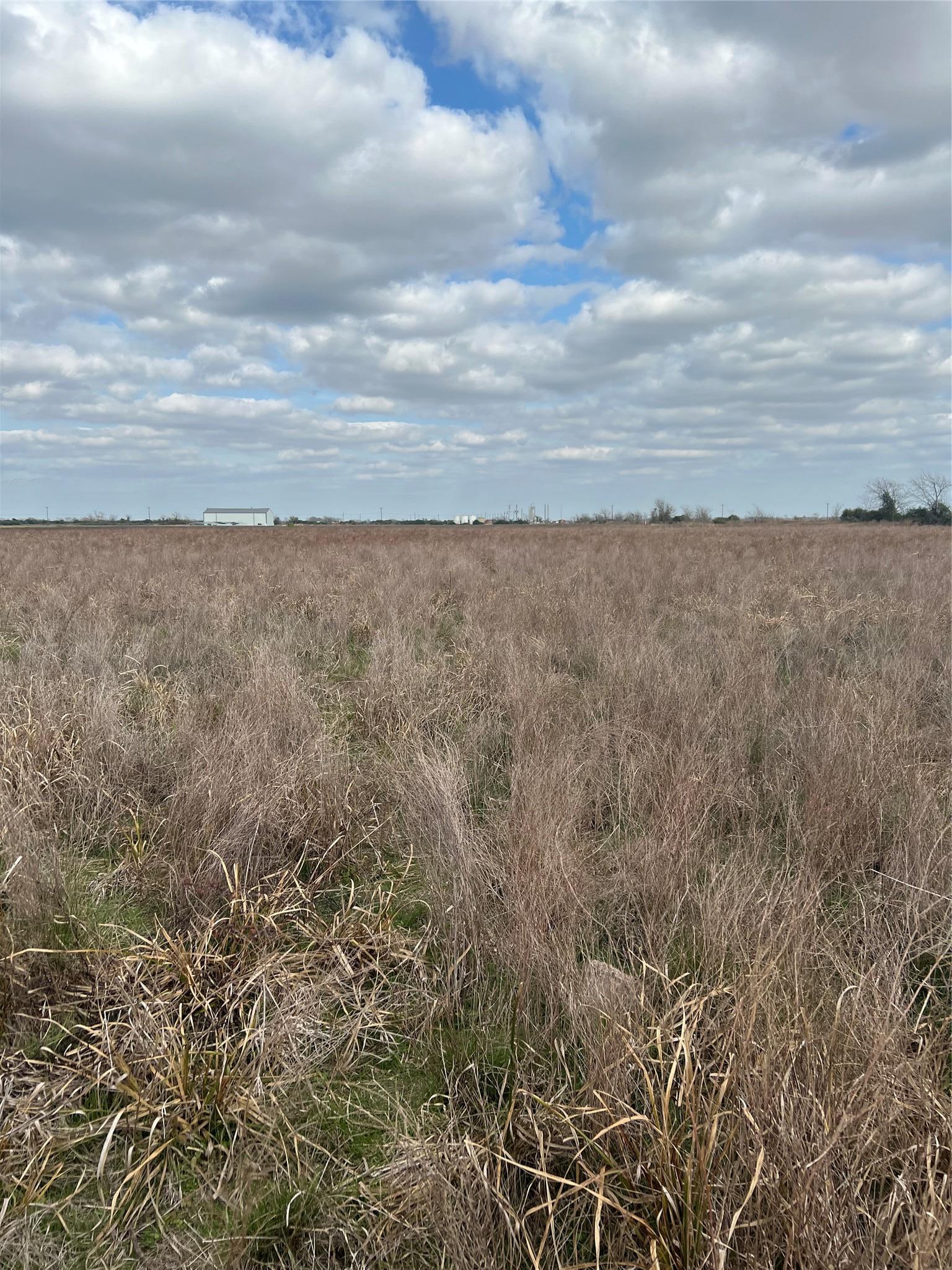 Tbd Lot 1 Beal Road Eagle Lake TX 77434