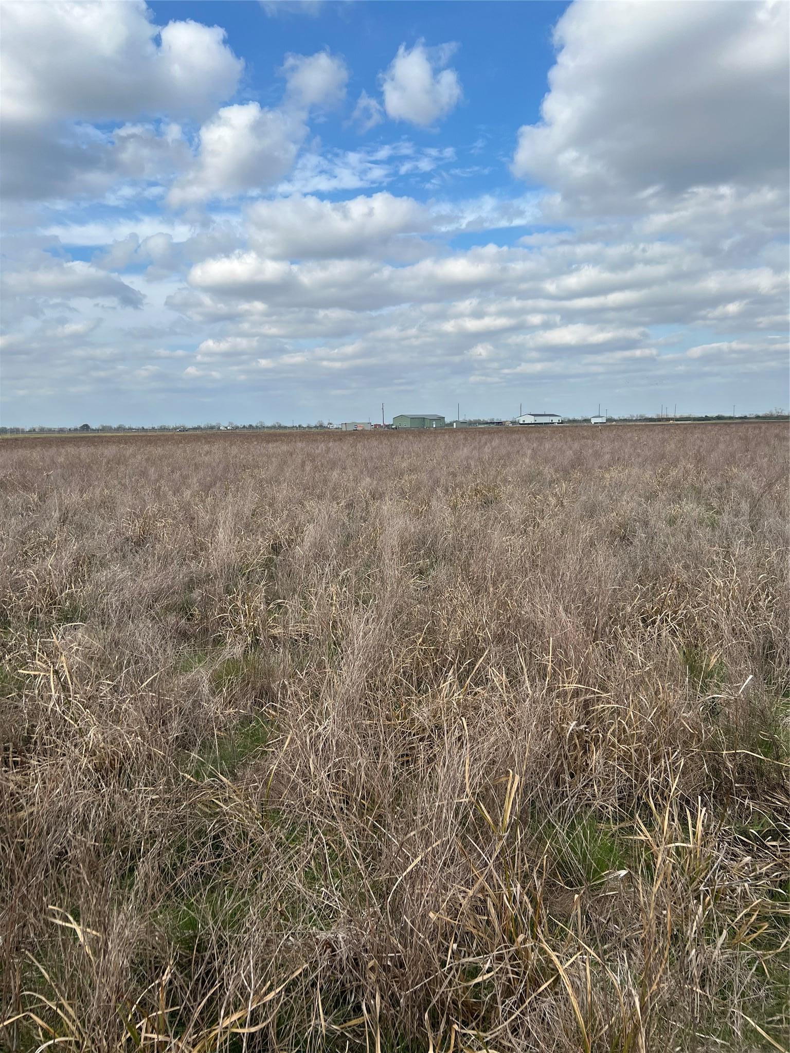 Tbd Lot 1 Beal Road Eagle Lake TX 77434