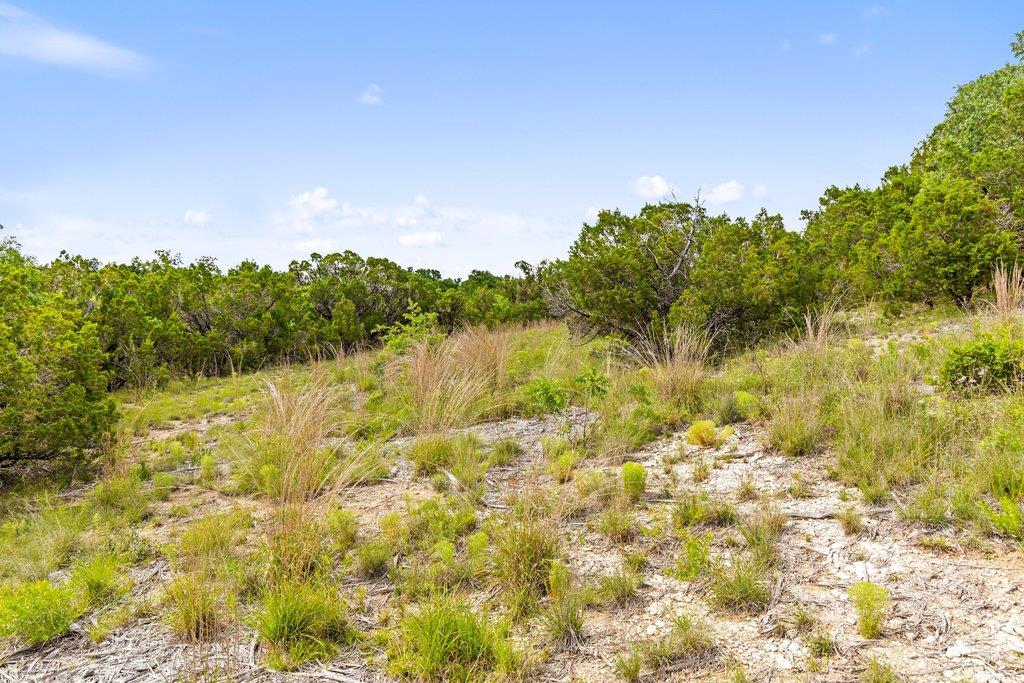 137 Glory Lane Leander TX 78641