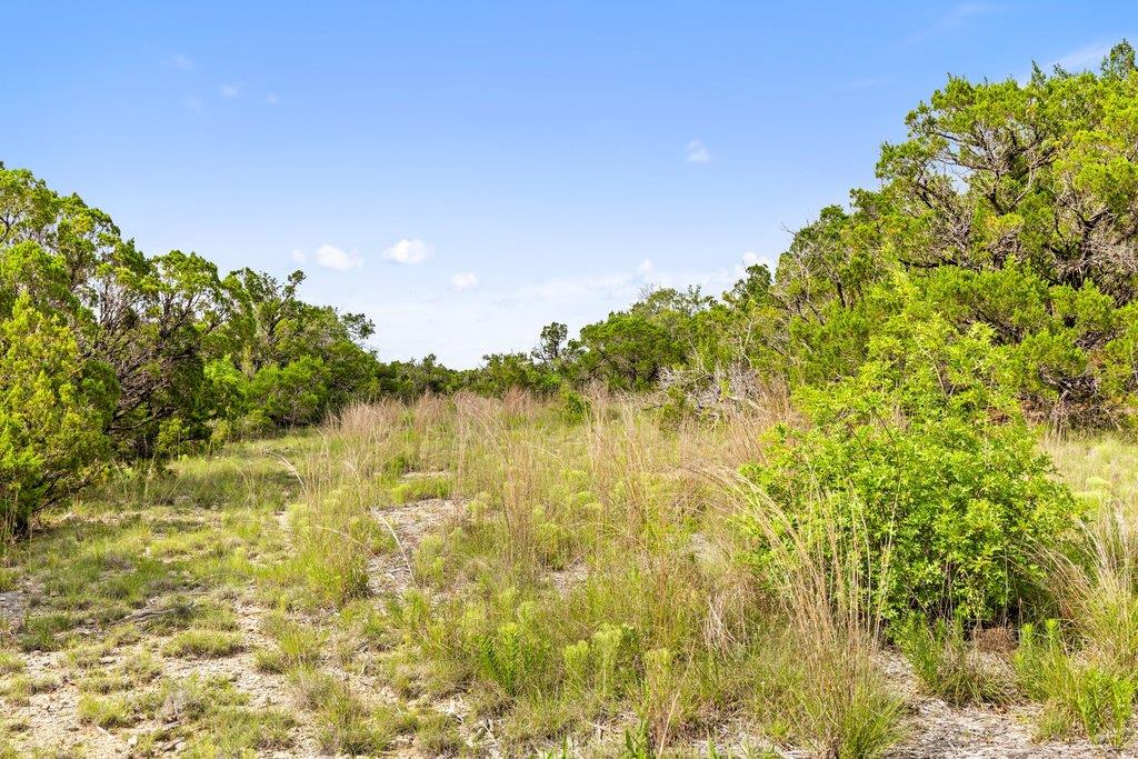 137 Glory Lane Leander TX 78641