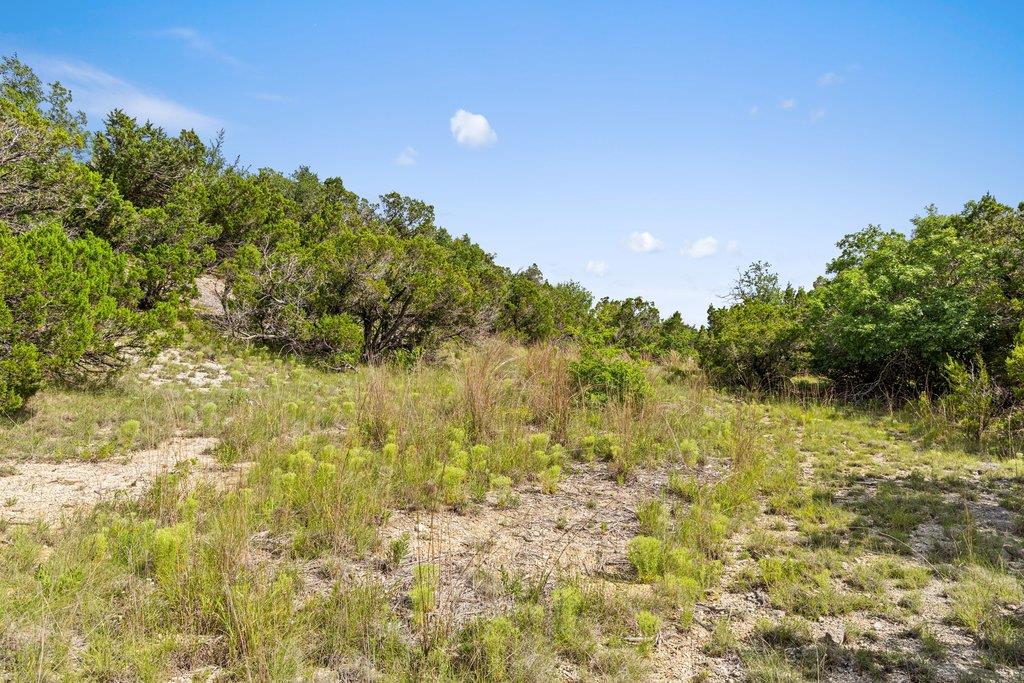 137 Glory Lane Leander TX 78641