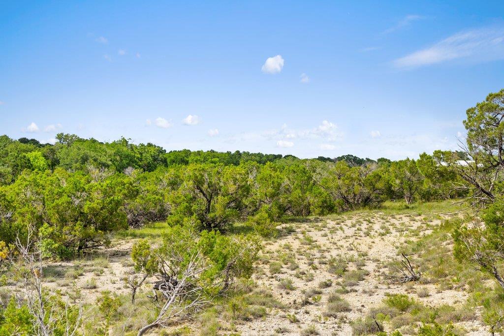 137 Glory Lane Leander TX 78641