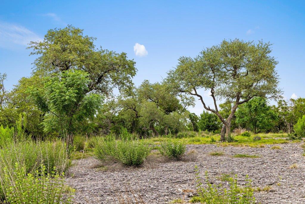 137 Glory Lane Leander TX 78641