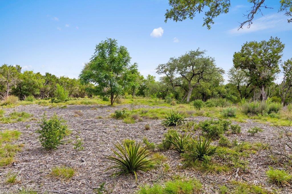 137 Glory Lane Leander TX 78641