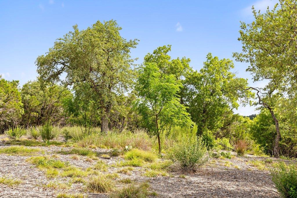 137 Glory Lane Leander TX 78641