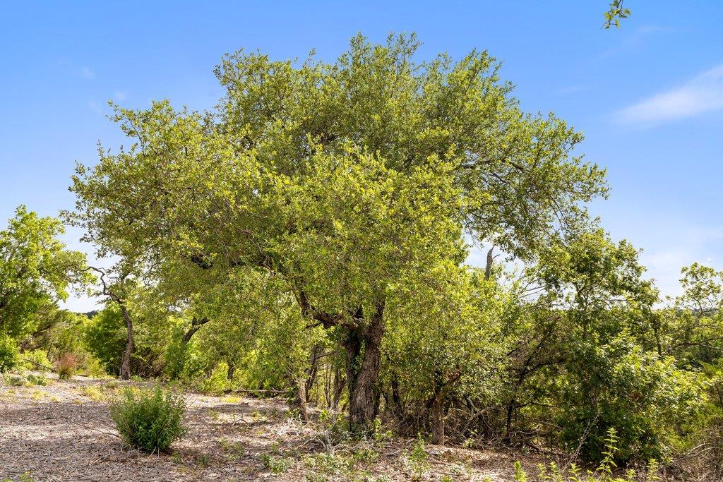137 Glory Lane Leander TX 78641