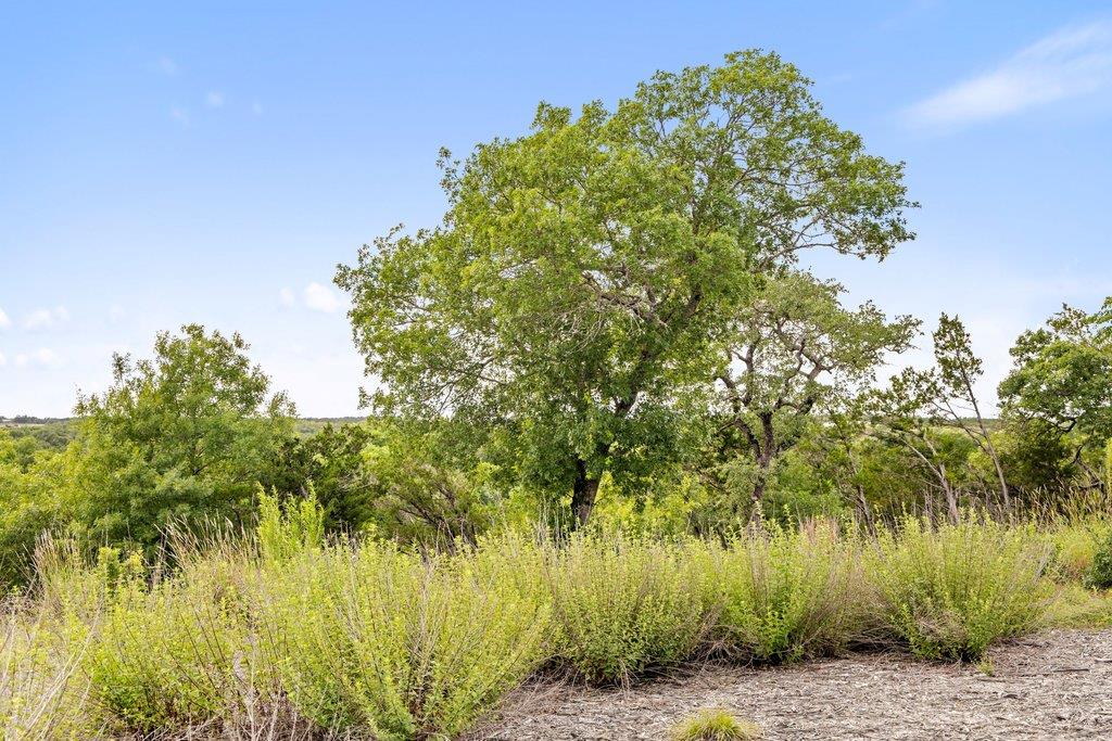 137 Glory Lane Leander TX 78641