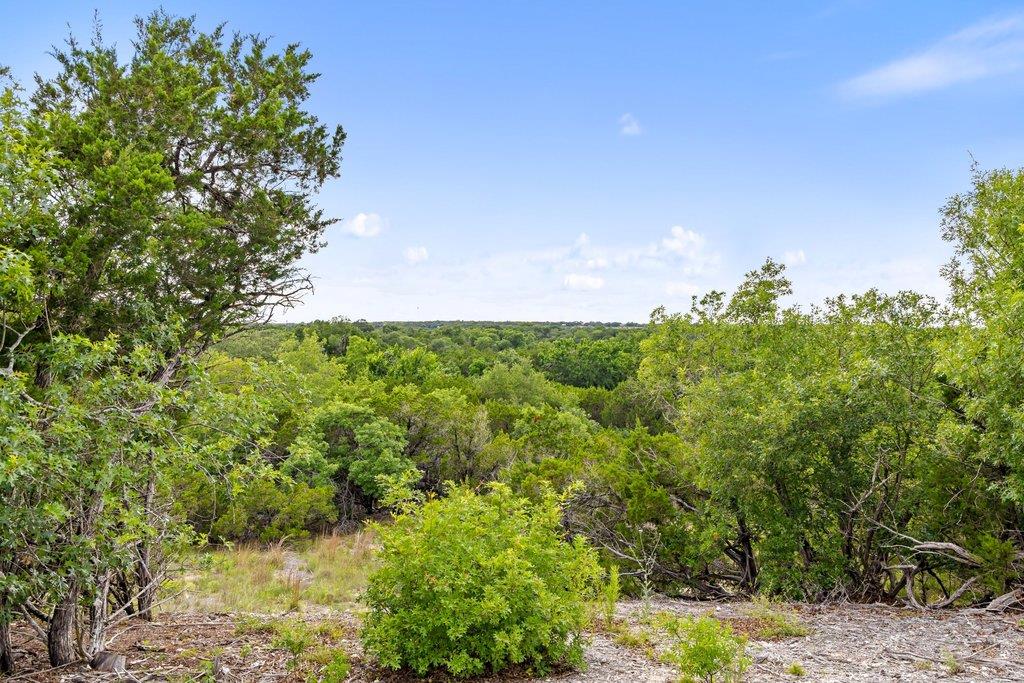137 Glory Lane Leander TX 78641