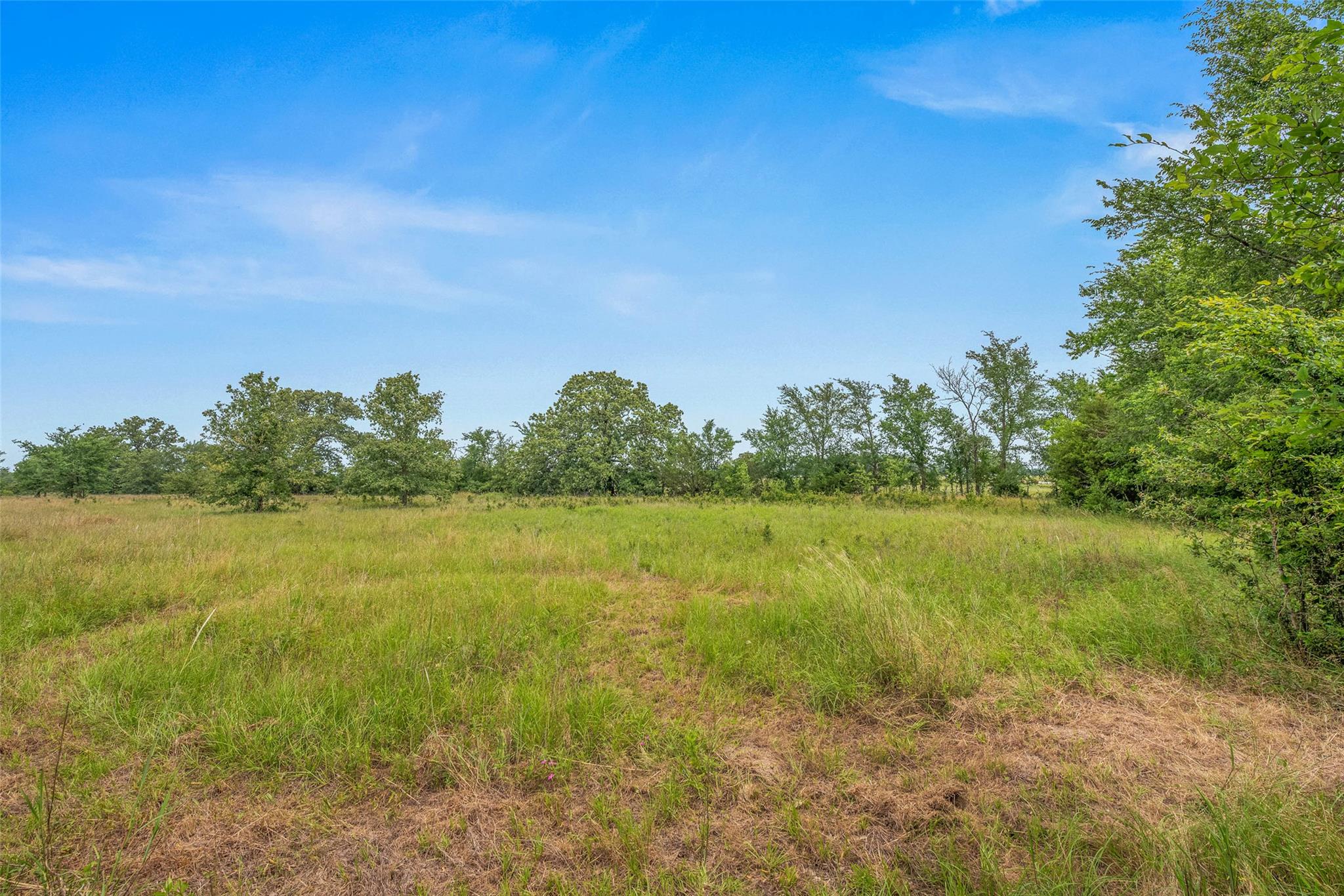 7015 C6 Ranch Road Bryan TX 77808