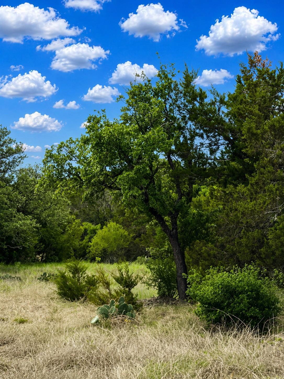 Tbd Arrowhead Trail Lot 7 Killeen TX 76549