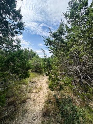 Tbd Lot 3 Royal Eagle Drive Fischer TX 78623