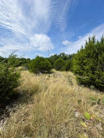 Tbd Lot 3 Royal Eagle Drive Fischer TX 78623