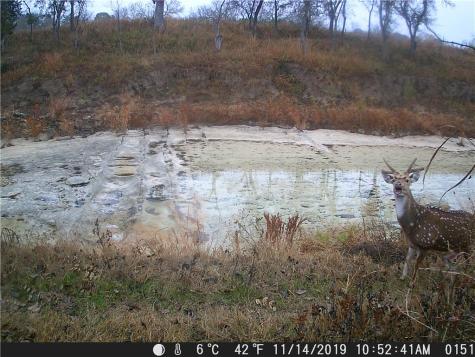 440 Chimney Valley Road Blanco TX 78606