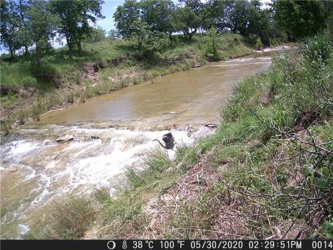 440 Chimney Valley Road Blanco TX 78606