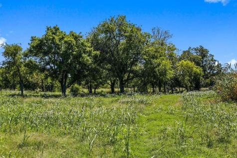 440 Chimney Valley Road Blanco TX 78606