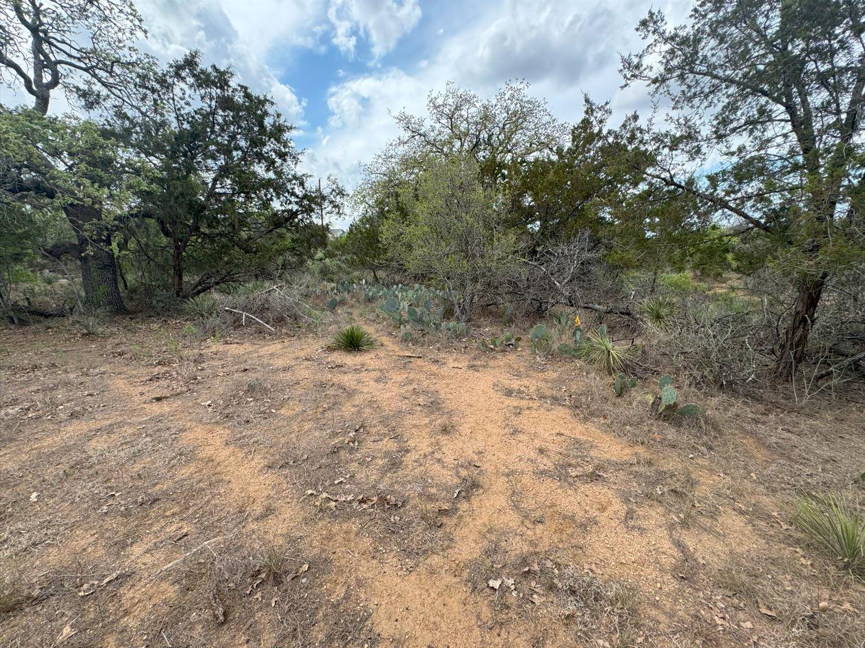 Lot 260 W Briarway Drive Granite Shoals TX 78654